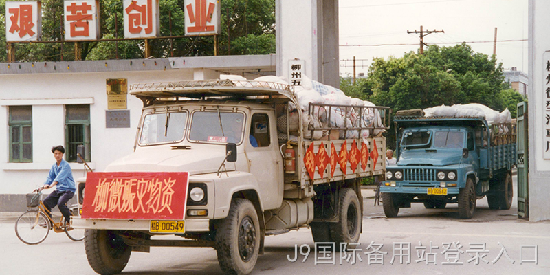 shehui3.png